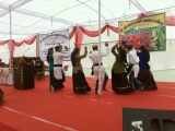cultural-09